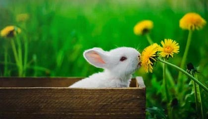 乐鱼电竞app-崔康熙助手信心满满征战亚冠 水原全韩班抗恒大